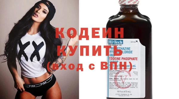 ECSTASY Алзамай
