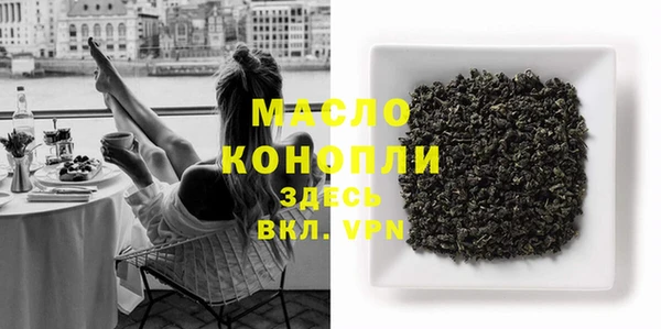 МДПВ Каменногорск